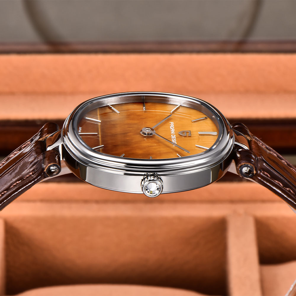 PAGANI DESIGN 2026 Nowy Zegare – Anti-Magnetic Watch recenzja i cena